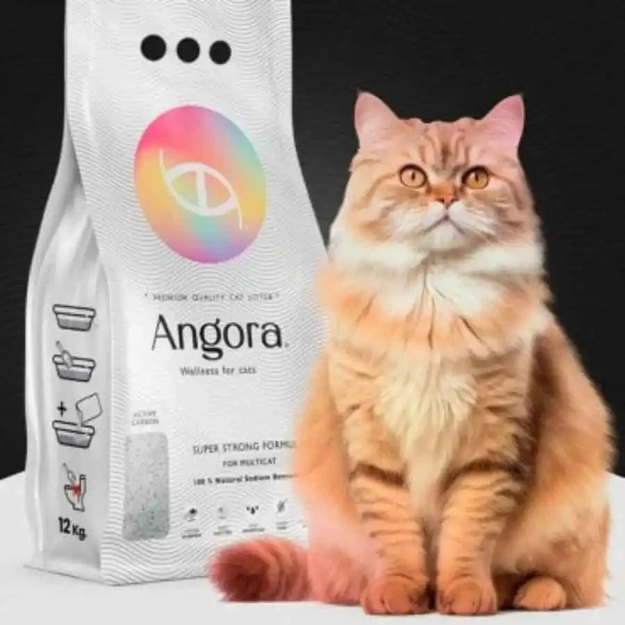 ARENA ANGORA